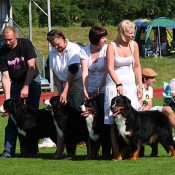 Funatic breeder group in the finals. Razzmatazz, Q-Ta-Molla, Oh My Gosh & Versace (photo: S. Kinnunen)