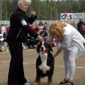 Essi being examined in Oulu