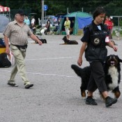 Nemo in obedience trial