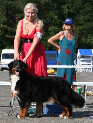 8.8.2009 Ch. Funatic Versace Group 2 (Photo © Susanna Sistonen)