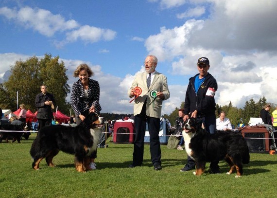 Gusto BOB in Porvoo 9/2013